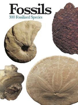 Fossils Fossils