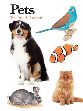 Pets Pets
