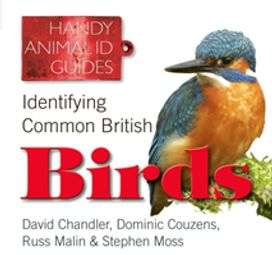 Identifying Common British Birds