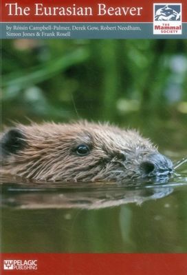 Eurasian Beaver Eurasian Beaver