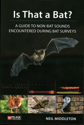 Is that a Bat?