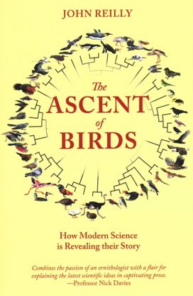 Ascent of Birds Ascent of Birds