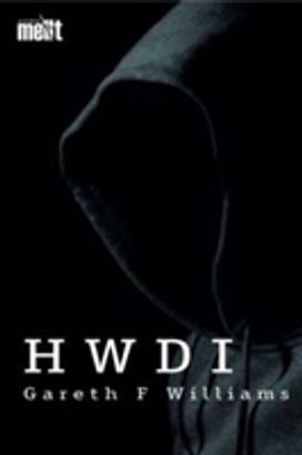 Cyfres Mellt: Hwdi (Pecyn O 15) Cyfres Mellt: Hwdi (Pecyn O 15)