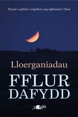 Lloerganiadau Lloerganiadau