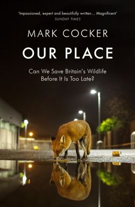 Our Place Our Place