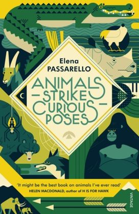 Animals Strike Curious Poses Animals Strike Curious Poses