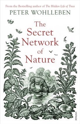Secret Network of Nature Secret Network of Nature