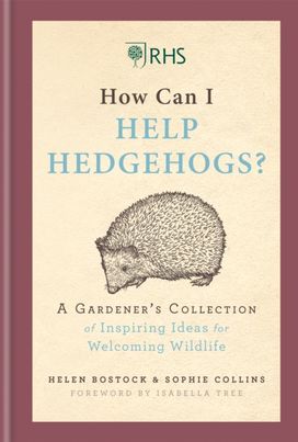Rhs how can I Help Hedgehogs?