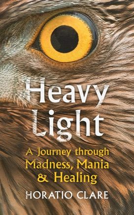 Heavy Light Heavy Light