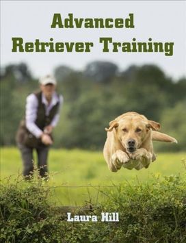 Advanced Retriever Training Advanced Retriever Training