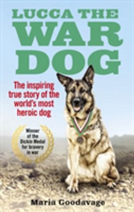 Lucca the War Dog