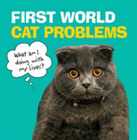 First World Cat Problems First World Cat Problems
