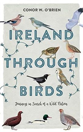 Ireland Through Birds Ireland Through Birds
