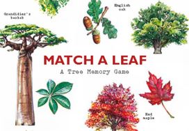 Match a Leaf