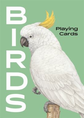 Birds Birds