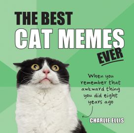 Best Cat Memes Ever Best Cat Memes Ever