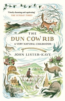 Dun Cow Rib Dun Cow Rib
