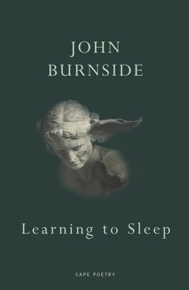 Learning to Sleep Learning to Sleep