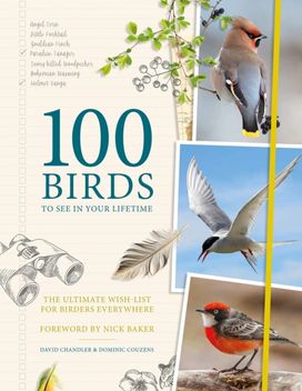 100 Birds to See in Your Lifetime 100 Birds to See in Your Lifetime