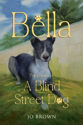 Bella, the journey of A Blind Street Dog Bella, the journey of A Blind Street Dog