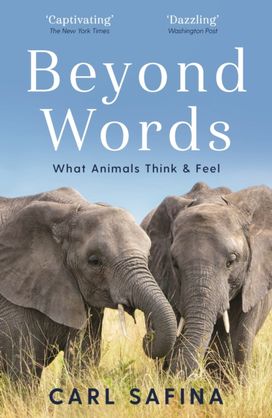 Beyond Words Beyond Words