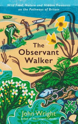 Observant Walker Observant Walker