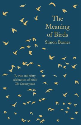 Meaning of Birds Meaning of Birds