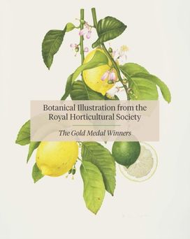 Rhs Botanical Illustration