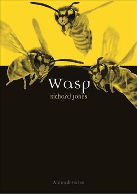 Wasp Wasp