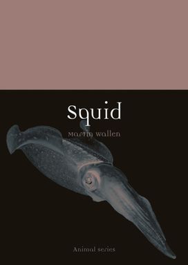 Squid Squid