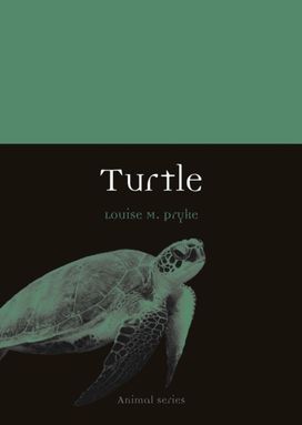 Turtle Turtle