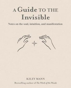 Guide to the Invisible (cancelled) Guide to the Invisible (cancelled)