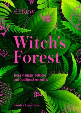 Witch's Forest Witch's Forest