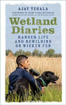 Wetland Diaries Wetland Diaries
