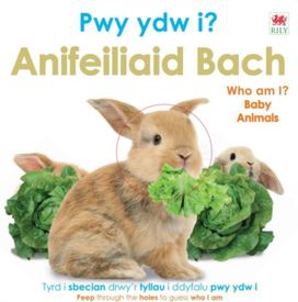 Pwy Ydw i? Anifeiliaid Bach / Who Am I? Baby Animals Pwy Ydw i? Anifeiliaid Bach / Who Am I? Baby Animals