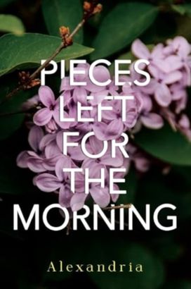 Pieces Left for the Morning Pieces Left for the Morning