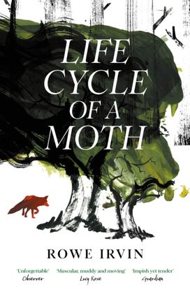 Life Cycle of a Moth Life Cycle of a Moth