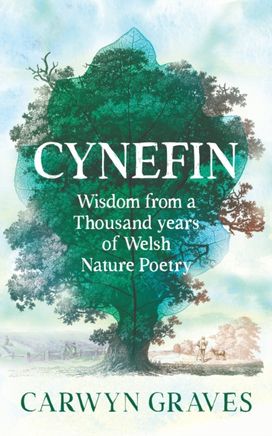Cynefin