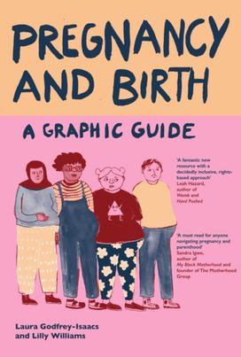 Pregnancy and Birth: A Graphic Guide Pregnancy and Birth: A Graphic Guide