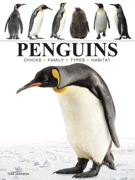 Penguins Penguins