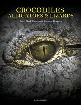 Crocodiles, Alligators & Lizards