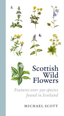Scottish Wild Flowers Scottish Wild Flowers