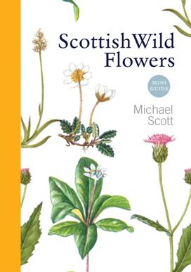 Scottish Wild Flowers Scottish Wild Flowers
