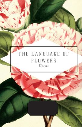Language of Flowers Language of Flowers