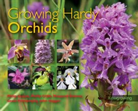 Growing Hardy Orchids Growing Hardy Orchids