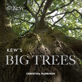 Kew’s Big Trees Kew’s Big Trees