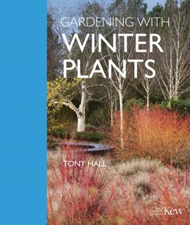 Gardening with Winter Plants Gardening with Winter Plants