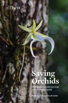 Saving Orchids Saving Orchids