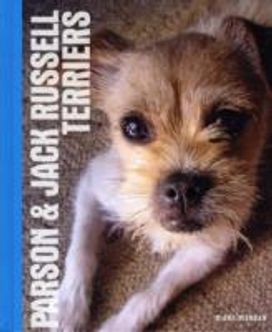 Parson and Jack Russell Terriers