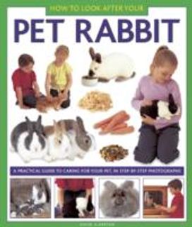 How to Look After Your Pet Rabbit How to Look After Your Pet Rabbit